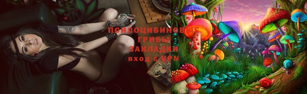 спиды Верея