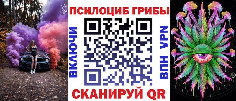 Купить  Клинцы  Псилоцибиновые грибы Magic Shrooms 